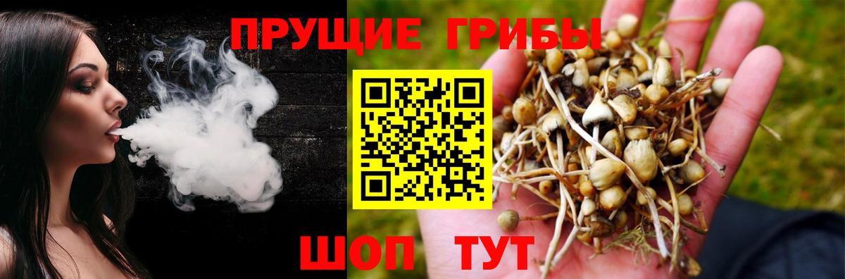 Березники  Галлюциногенные грибы MAGIC MUSHROOMS  Псилоцибиновые грибы Psilocybine cubensis  Вход с VPN 
